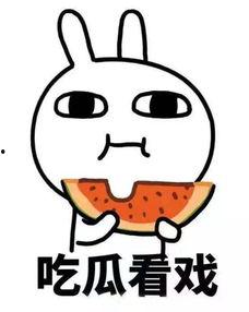 娱乐吃瓜酱300块,娱乐吃瓜酱带你领略娱乐圈风云